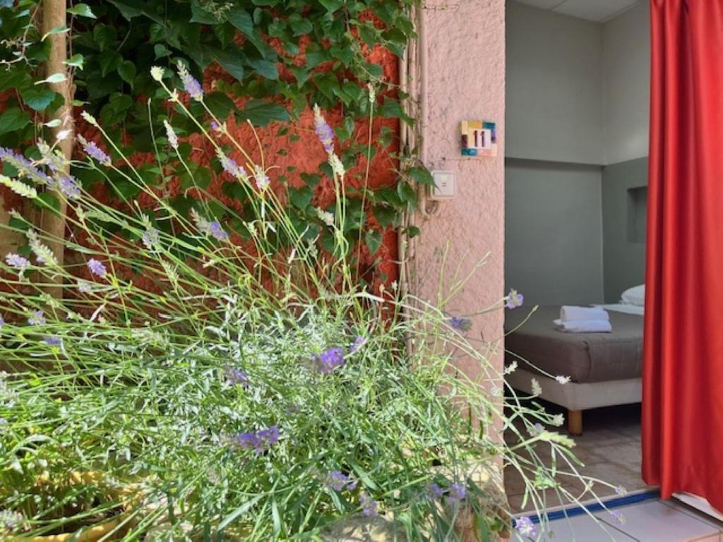 Hotel Le Colbert Avignon Exterior photo